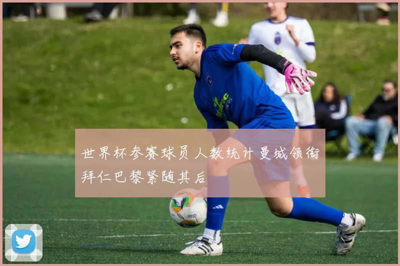 世界杯参赛球员人数统计曼城领衔拜仁巴黎紧随其后