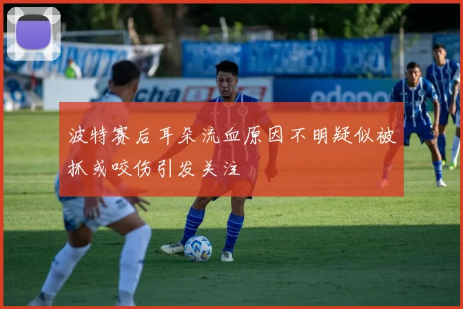 波特赛后耳朵流血原因不明疑似被抓或咬伤引发关注