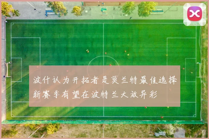 波什认为开拓者是莫兰特最佳选择新赛季有望在波特兰大放异彩
